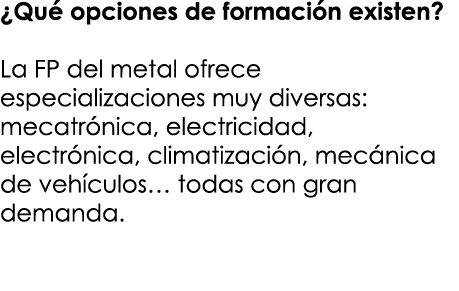 ¿Qu opciones de formaci n existen? La FP del metal ofrece especializaciones muy diversas: mecatr nica, electricidad,...